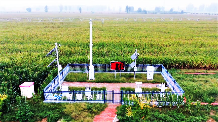 1790321413107.png 图片6.png