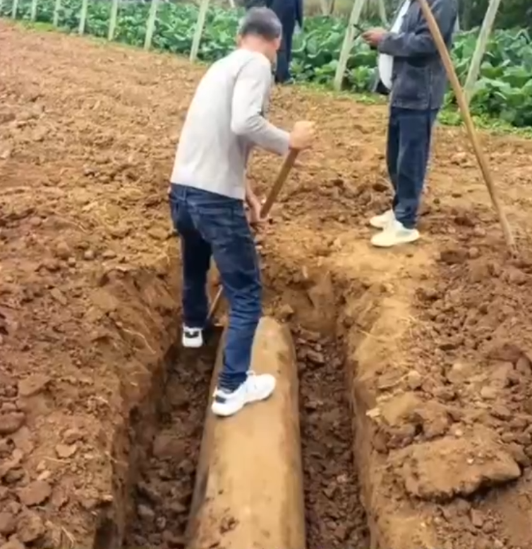 1790585500199.png 001.png