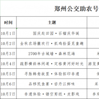 10元起漫游郑州！郑州十余条文旅巴士乘坐指南来了