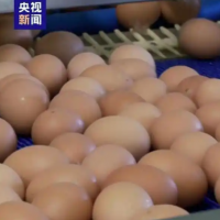 手机报·晚报丨鸡蛋价格大跌，零售价重回“4字头”；入秋以来河南最强降雨过程即将上线