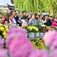 手机报·早报丨看病找陪诊，首个国家标准即将实施；郑马今日开跑，注意绕行交通管制区域